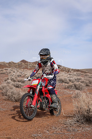 IMG_0378-310j