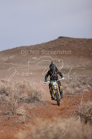 IMG_0382-99j