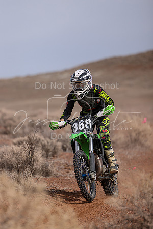 IMG_0393-368j