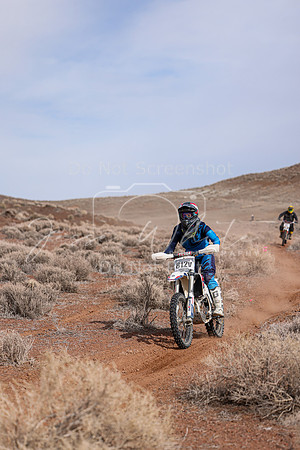 IMG_0399-812v