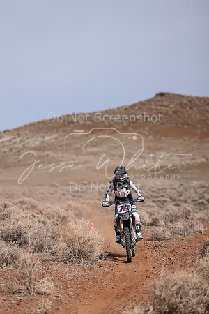 IMG_0426-79v