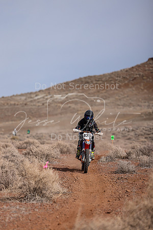 IMG_0448-825v