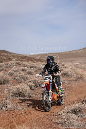 IMG_0451-825v