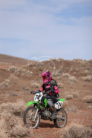 IMG_0476-74v