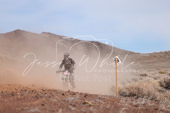 IMG_1553-76v