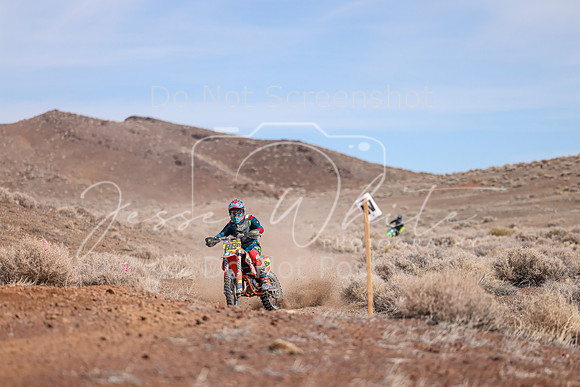IMG_1742-88a