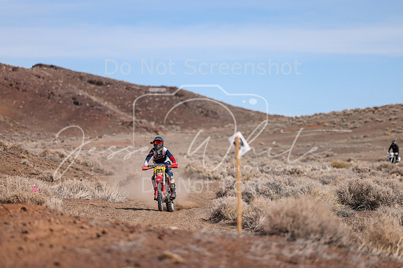 IMG_1969-80t