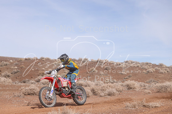 IMG_2043-211n
