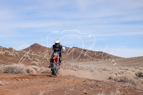 IMG_2336-412m