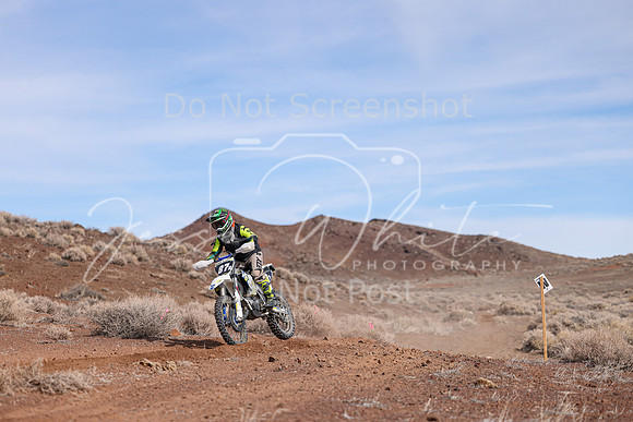 IMG_2342-87a
