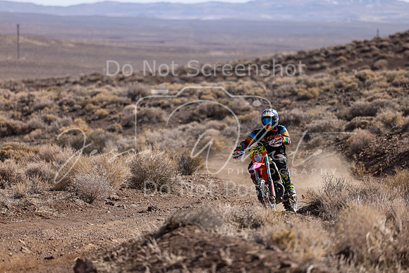 IMG_2937-72n