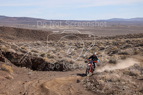 IMG_2993-609t