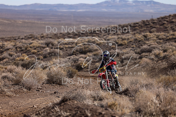IMG_3141-80t