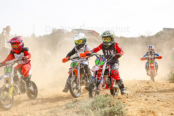 IMG_9915-10-6