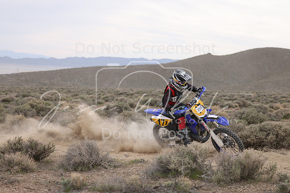 IMG_7991-35b