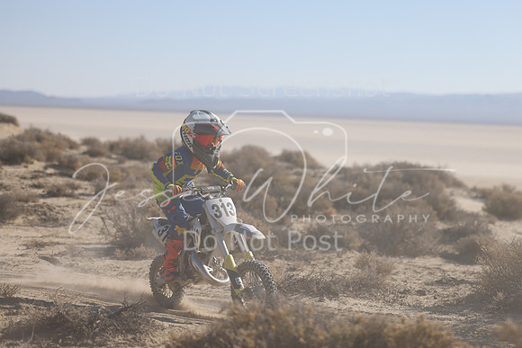 IMG_6597-313