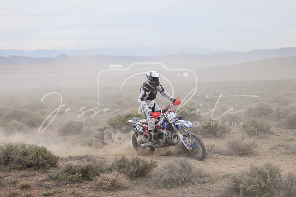 IMG_7603-61a