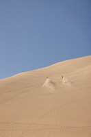IMG_8958