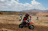 IMG_1310-50z