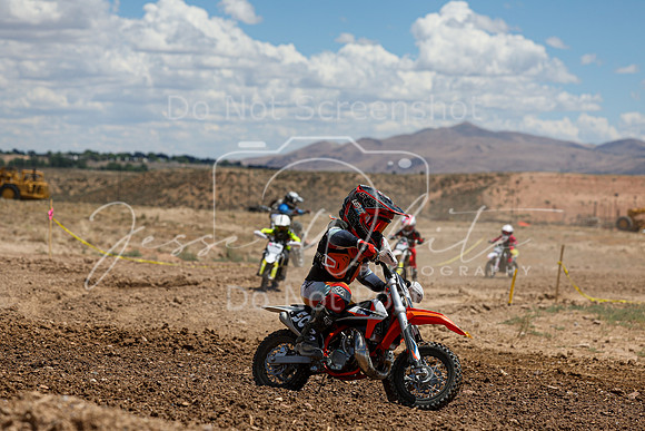 IMG_1310-50z
