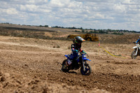IMG_1321-511z