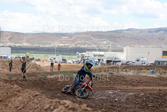 IMG_1353-502z