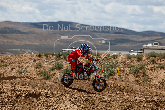 IMG_1390-808z