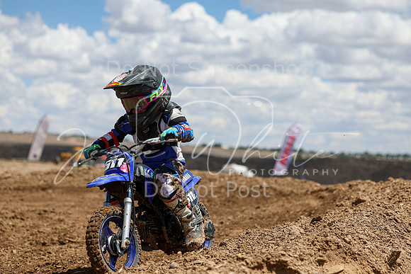 IMG_1434-511z