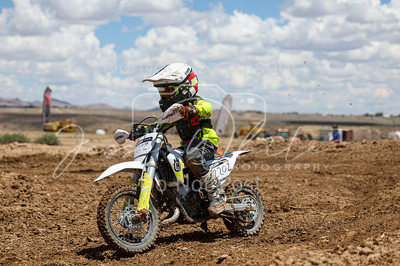 IMG_1443-220z