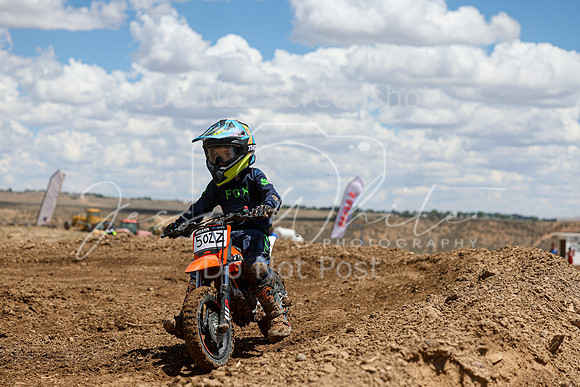 IMG_1441-502z