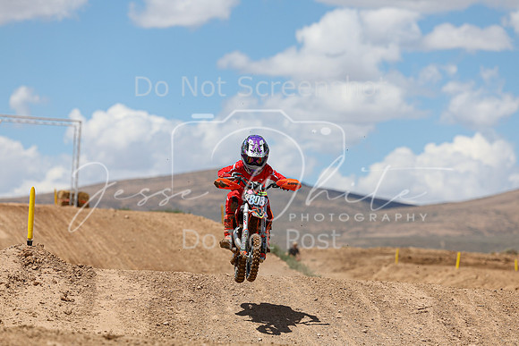 IMG_1471-808z