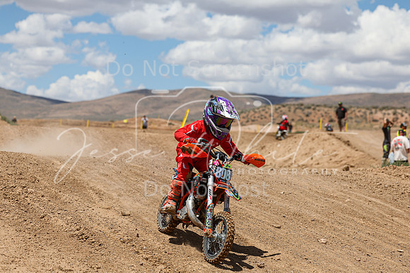 IMG_1475-808z