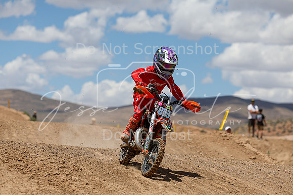 IMG_1507-808z
