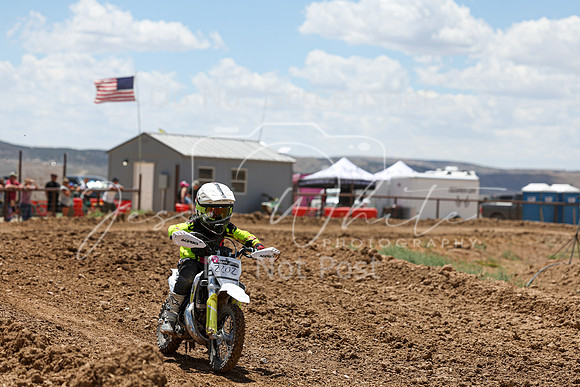 IMG_1529-220z
