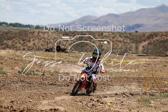 IMG_1011-303y