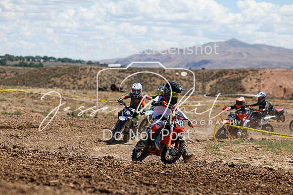 IMG_1013-303y
