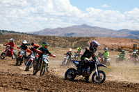 IMG_1017-110y