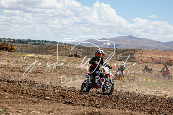 IMG_1031-450y