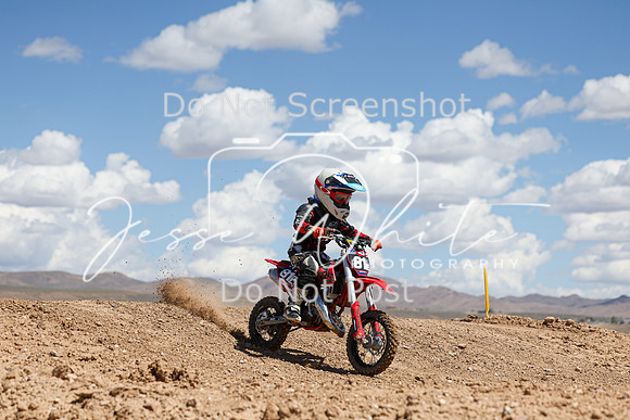 IMG_1075-81e