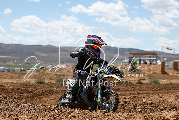 IMG_1159-555y