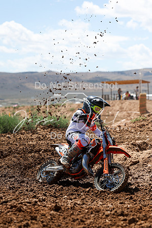 IMG_1173-303y