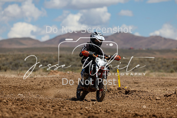 IMG_1288-70y