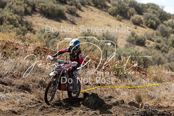 IMG_0743-226j