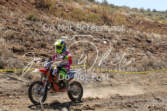 IMG_0742-933j