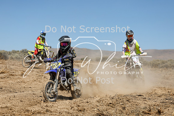 IMG_0811-777y
