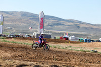 IMG_0226-82v