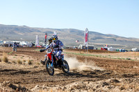 IMG_0230-350v
