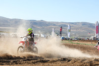 IMG_0234-474v
