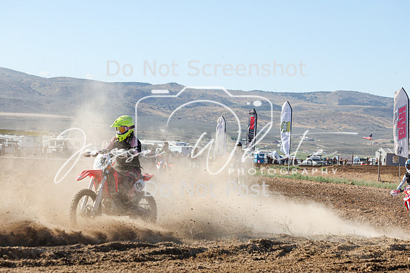 IMG_0234-474v