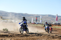 IMG_0240-342v